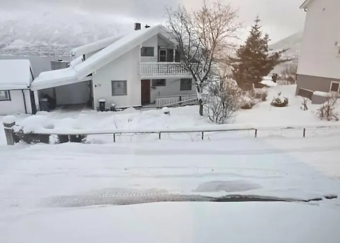 Arctic Nine - Nr 8 - On The Island Tromsø